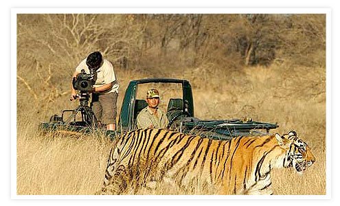 The Wildlife of India & Nepal